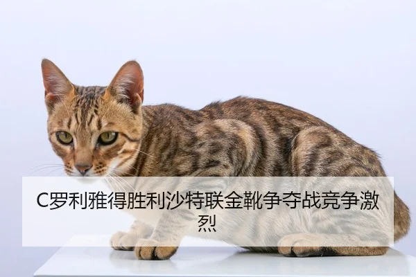 luo-li-ya-de-sheng-li-sha-te-lian-jin-xue-zheng-duo-zhan-jing-zheng-ji-lie-3-438.jpg