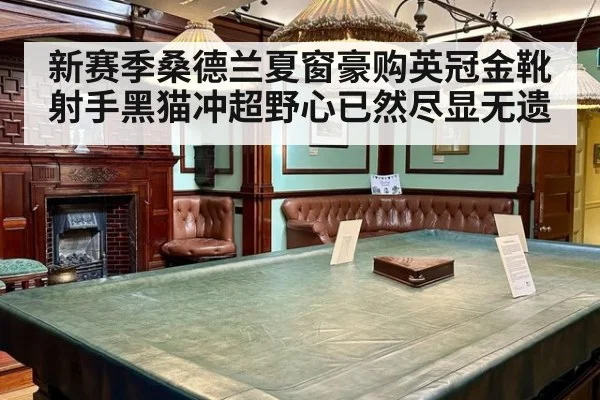 新赛季桑德兰夏窗豪购英冠金靴射手黑猫冲超野心已然尽显无遗