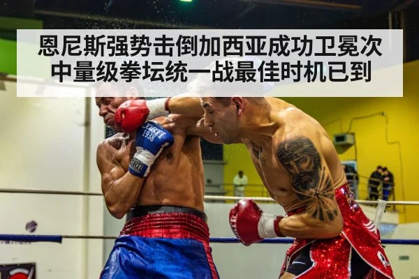 boxing knockout punch